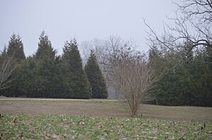 Roaring Spring entrance