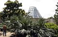 San Antonio Botanical Garden 01697