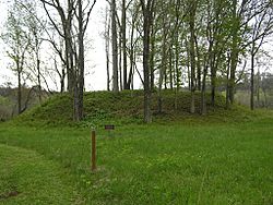 Sellars Indian Mound.jpg