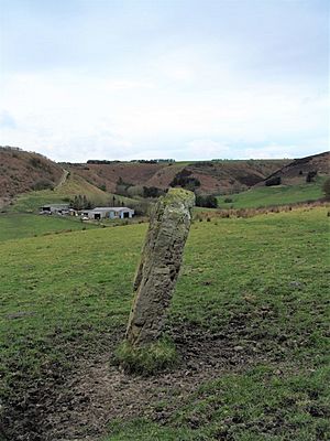 Standing stone near Newgate Foot (geograph 5317311).jpg