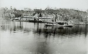 StateLibQld 1 126315 Naval Stores at Kangaroo Point, seen from across the Brisbane River
