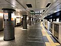 Tokyo-metro-Ueno-Station-platform1