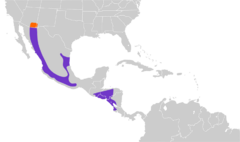 Trogon elegans map.svg