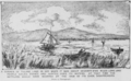 Tulare Lake 1875