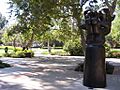UCLA Franklin D. Murphy Sculpture Garden picture 3