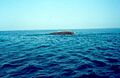 USS Massachusetts, BB-2, wreck