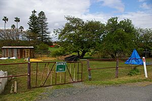 WTF Charlie's Team Randwick Stables