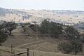 1958 - Cox's Road and Early Deviations - Sodwalls, Fish River Descent Precinct (5062553b2)