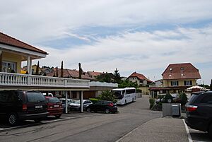 2012-05-26-Seeland (Foto Dietrich Michael Weidmann) 292