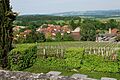 2014-05-20-Yverdon (Foto Dietrich Michael Weidmann) 258
