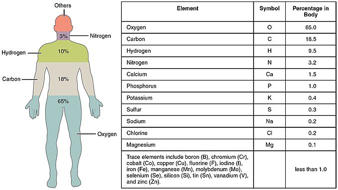 201 Elements of the Human Body-01