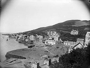 A view of Aberdyfi from Penhelyg Rock NLW3360962
