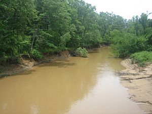 Angelina River west of Nacogdoches, Texas