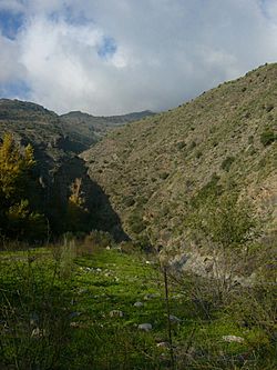 Approach to the Poqueira valley