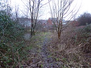 Ashford Community Woodland 2