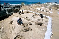 Ashkelon Pre-Pottery Neolithic C site