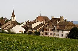 Auvernier village