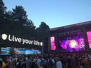 Bühne und VIP-Tribüne Sunny Hill Festival 