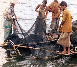 BD-fishermen