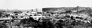 BLM Swansea cult.Par.52437.Image.-1.-1.1