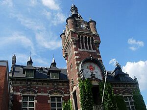 Beffroi de Loos (3)