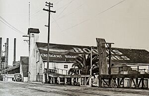 Booths cannery Monterey 1920jpg