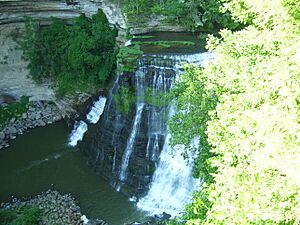 Burgess Falls (935955560)