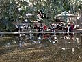 Café at the Queensland Art Gallery 03
