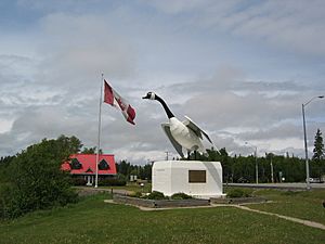 Canada Goose at Wawa Ontario