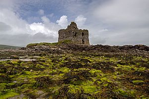 Castles of Munster, Ballinskelligs, Kerry - geograph.org.uk - 1392857
