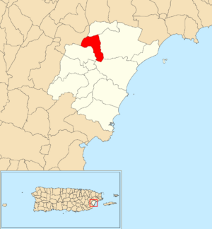 Location of Collores within the municipality of Humacao shown in red