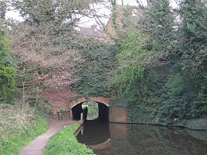 Cookley Tunnel - geograph.org.uk - 1252427