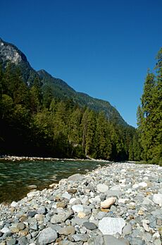 Coquihalla River