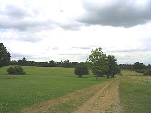 Dagnam Park, Harold Hill, Essex - geograph.org.uk - 23738