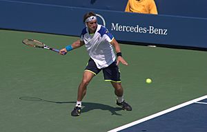 David Ferrer at the 2013 US Open
