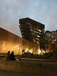 De Young Museum at Night 2015