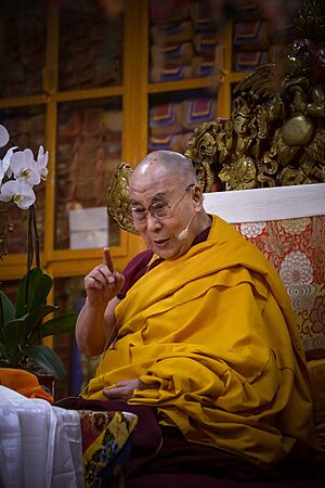 Dear your Holiness the Dalai Lama (37533069914)