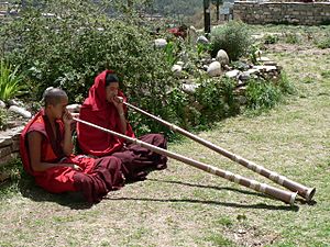 Dechen Phodrang monastic school, Thimphu 2