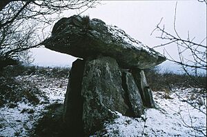 Dolmen at Gaulstown, Co. Waterford - geograph.org.uk - 1013199