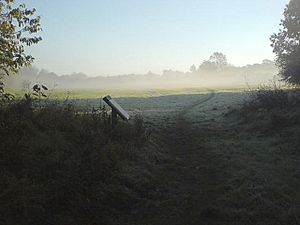 Draycote Meadows - geograph.org.uk - 593184