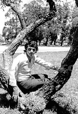 Elias figueroa joven