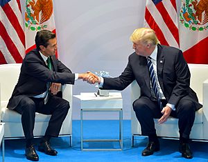 Enrique Peña Nieto meets with Donald Trump, G-20 Hamburg summit, July 2017 (1)