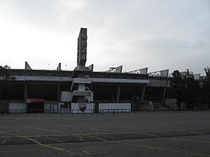 EntranceEstadioNeza86