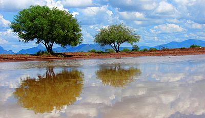 Etchohuaquila, Navojoa, Sonora