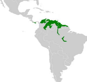 Eupsittula pertinax map.svg