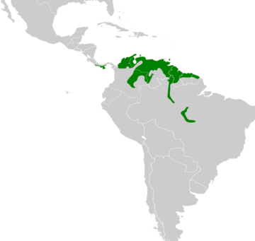 Eupsittula pertinax map.svg