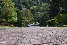 Example of Scottholm, Syracuse's Brick Roads