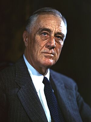 Head shot of Roosevelt, 62, who has graying hair and faces the camera.