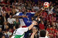FRA vs HUN (01) - 2010 European Men's Handball Championship