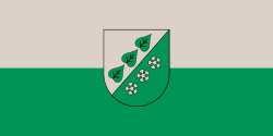 Flag of Sigulda.svg